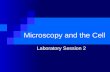 Lab 2 - Microscopy and the Cell