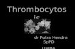 Thrombocytosis uniba 16-1-13