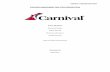 Case16 87068497 Carnival Corporation