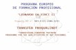 PROGRAMA EUROPEO DE FORMACIÓN PROFESIONAL LEONARDO DA VINCI II Proyecto TOI nº: 2011-1-ES1-LEO05-35751 TRANSFER PROQUALINDT TRANSFERING EUROPEAN TRAINING.