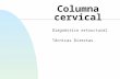 Columna cervical Diagnóstico estructural Técnicas Directas.