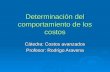 Determinación del comportamiento de los costos Cátedra: Costos avanzados Profesor: Rodrigo Aravena.