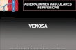 VENOSA. SISTEMA SUPERFICIAL SISTEMA PROFUNDO Venas comunicantes y perforantes Válvulas Fuerzas La pared venosa está compuesta por tres capas: Intima: