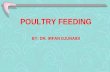 Poultry Feeding 1`