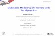 Multiscale Modeling Fracture Peridynamics