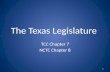The Texas Legislature PPTX