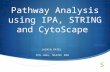 IPA network analysis