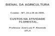 BIENAL DA AGRICULTURA Cuiabá – MT, 24 a 26 de 2005. CUSTOS NA ATIVIDADE FLORESTAL. Professor José Luiz P. Rezende UFLA.
