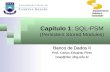 Capítulo 1: SQL-PSM (Persistent Stored Modules) Banco de Dados II Prof. Carlos Eduardo Pires cesp@dsc.ufcg.edu.br.
