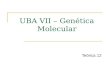 UBA VII – Genética Molecular Teórica 12. HEREDITARIEDADE DE CARACTERÍSTICAS COMPLEXAS 10/Abril/2012 UBA VII GM MJC 2.