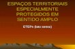 ESPAÇOS TERRITORIAIS ESPECIALMENTE PROTEGIDOS EM SENTIDO AMPLO ETEPs (lato sensu)