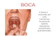 BOCA A boca é revestida por uma membrana mucosa de epitélio escamoso estratificado queratinizado.