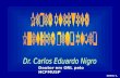 NIGRO, C. Doutor em ORL pelo HCFMUSP. NIGRO, C.