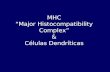 MHC Major Histocompatibility Complex & Células Dendríticas.