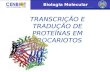 Biologia Molecular TRANSCRIÇÃO E TRADUÇÃO DE PROTEÍNAS EM PROCARIOTOS.