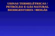 USINAS TERMELÉTRICAS / PETRÓLEO E GÁS NATURAL BIODIGESTORES / BIOGÁS.