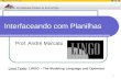 1 Interfaceando com Planilhas Prof. André Marcato Livro Texto: LINGO – The Modeling Language and Optimizer.
