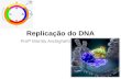 Replicação do DNA Profª Marília Andrighetti. Replicação do DNA Todos os organismos devem duplicar o seu DNA com extrema precisão antes de cada divisão.
