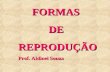 FORMAS FORMAS DE DEREPRODUÇÃO Prof. Aldinei Souza.