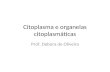 Citoplasma e organelas citoplasmáticas Prof. Debora de Oliveira.