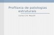 Profilaxia de patologias estruturais Carlos E.N. Mazzilli.