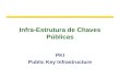 Infra-Estrutura de Chaves Públicas PKI Public Key Infrastructure.