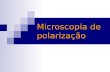 Microscopia de polarização. 1 2 3 5 y x 1,5 2 3 4 Vetor campo elétrico E Onda Polarização é a natureza vetorial da luz Polarização é a natureza vetorial.