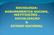 SOCIOLOGIA: AGRUPAMENTOS SOCIAIS, INSTITUIÇÕES, SOCIALIZAÇÃO & ESTADO NACIONAL.