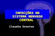 INFECÇÕES NO SISTEMA NERVOSO CENTRAL Claudio Orestes.