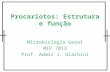 Procariotos: Estrutura e fun§£o Microbiologia Geral MIP 7013 Prof. Admir J. Giachini