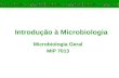 Introdu§£o   Microbiologia Microbiologia Geral MIP 7013