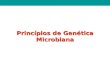 Princípios de Genética Microbiana. Genética (do grego genno; fazer nascer) É a ciência da hereditariedade e da variabilidade dos organismos. Definição.