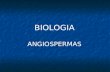BIOLOGIA ANGIOSPERMAS. Angiospermas Habitat As angiospermas ocupam praticamente todos os ecossistemas do planeta, devido a sua grande capacidade de adaptação.