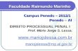 DIREITO PROCESSUAL PENAL I Faculdade Raimundo Marinho Campus Penedo – 2012/1 Penedo – Al Prof. Mário Jorge S. Lessa. wwww wwww wwww.... mmmm aaaa rrrr.