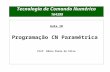 Tecnologia de Comando Numérico 164399 Aula 10 Programação CN Paramétrica Prof. Edson Paulo da Silva.
