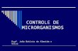 CONTROLE DE MICRORGANISMOS Prof. João Batista de Almeida e Silva.
