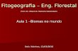 Fitogeografia – Eng. Florestal Aula 1 –Biomas no mundo Dois Vizinhos, 12/03/2010 Prof. Dr. Mauricio Romero Gorenstein.