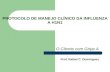 PROTOCOLO DE MANEJO CLÍNICO DA INFLUENZA A H1N1 O Cliente com Gripe A Prof. Rafael C. Domingues.