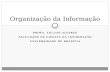 PROFA. LILLIAN ALVARES FACULDADE DE CIÊNCIA DA INFORMAÇÃO UNIVERSIDADE DE BRASÍLIA Organização da Informação.