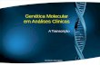 Genética Molecular em Análises Clinicas A Transcrição Prof.Doutor José Cabeda.