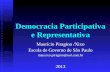 Democracia Participativa e Representativa Maurício Piragino /Xixo Escola de Governo de São Paulo mauxixo.piragino@uol.com.br2013.