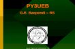 PY3UEB G.E. Baependi – RS Equipe Regional de Radioescotismo - RS.