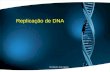 Replicação de DNA Prof.Doutor José Cabeda. Replicação(II) Múltiplos pontos de replicação por cromossoma A replicação ocorre nas duas cadeias do DNA –A.