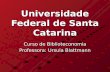 Universidade Federal de Santa Catarina Curso de Biblioteconomia Professora: Ursula Blattmann.