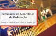 Simulador de Algoritmos de Ordenação Bruno Guedes e Matheus Proença.