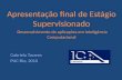 Apresentação final de Estágio Supervisionado Desenvolvimento de aplicações em Inteligência Computacional Gabriela Tavares PUC-Rio, 2010.