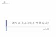 UBAIII Biologia Molecular 1º Ano 2012/2013. Adicç ão da Cauda poliA 8/nov/20122MJC-T06.