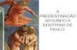 A PREDESTINAÇÃO SEGUNDO A DOUTRINA DE PAULO. O que é predestinação ? Deus nos predestinou ?
