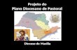 Projeto do Plano Diocesano de Pastoral Diocese de Marília.