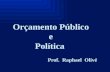 Orçamento Público e Política Prof. Raphael Olivé.